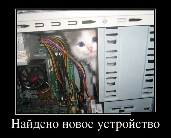 котёнок в системном блоке