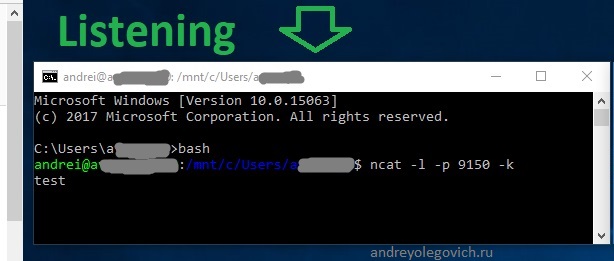 слушать порт с помощью ncat www.aredel.com